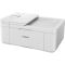 Canon PIXMA TR4651 - Multifunktionsdrucker - Drucker/Scanner/Kopierer/Fax - Farbe - Tintenstrahl - A4 - 100 Blatt - USB 2.0 - Wi-Fi - weiß
