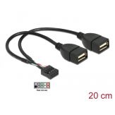 Delock USB-Kabel intern auf extern - USB (W) bis 9-poliger USB-Header (W) - 20 cm ( USB/USB 2.0 )