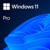 Microsoft Windows 11 Pro - Lizenz - 1 PC - 64-bit - Deutsch